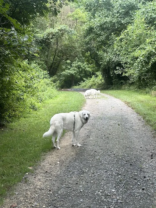 Lums Pond Dog Park 2