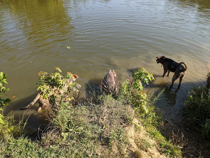 Lums Pond Dog Park 4