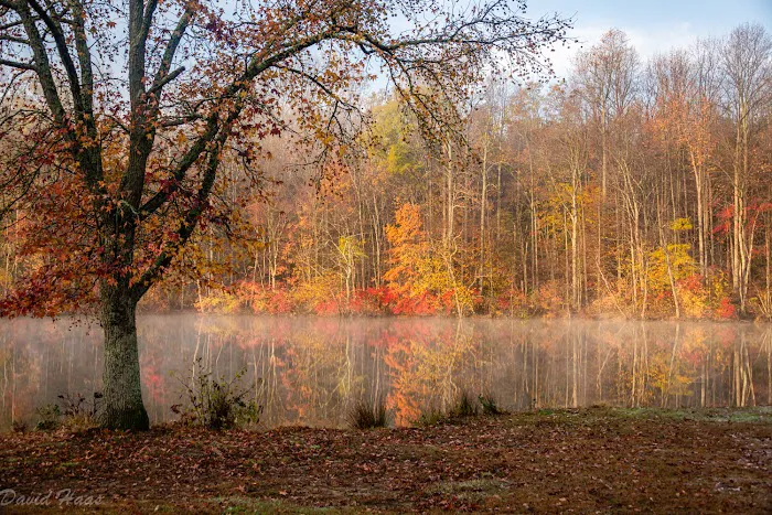 Lums Pond Dog Park 9