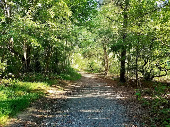 Lums Pond Dog Park 6
