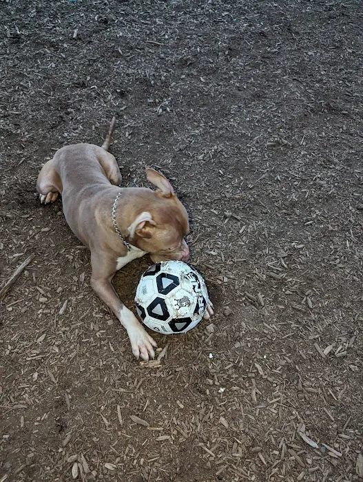 Municipality of Kingston Dog Park 3