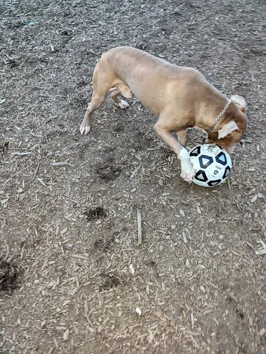 Municipality of Kingston Dog Park 2