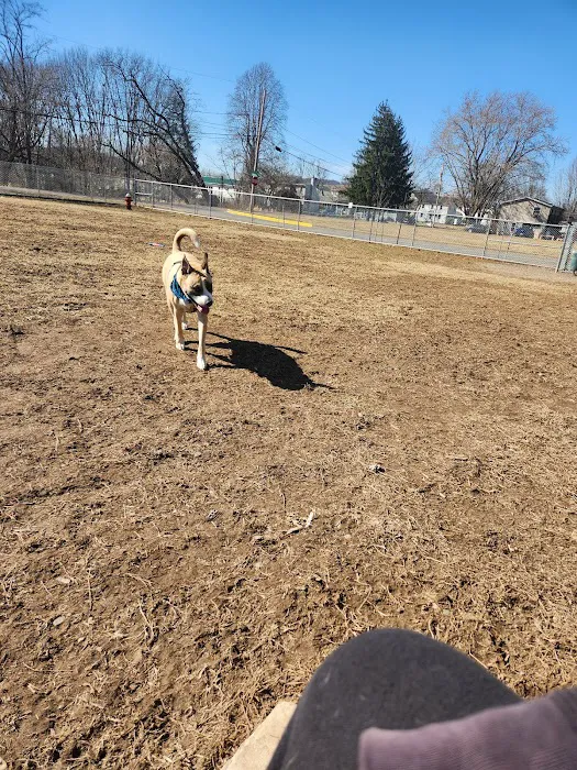Bloomsburg Dog Park 1