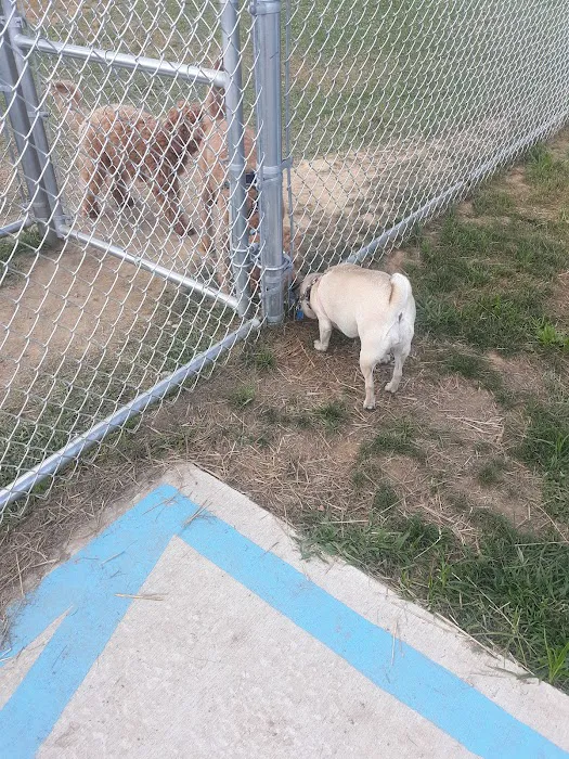 Bloomsburg Dog Park 3