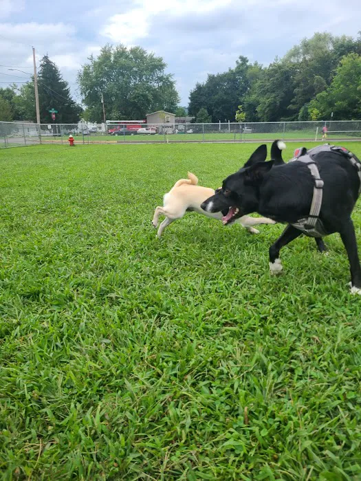 Bloomsburg Dog Park 2