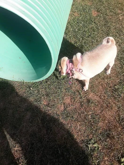 Bloomsburg Dog Park 9