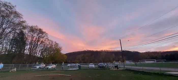 Bloomsburg Dog Park 10