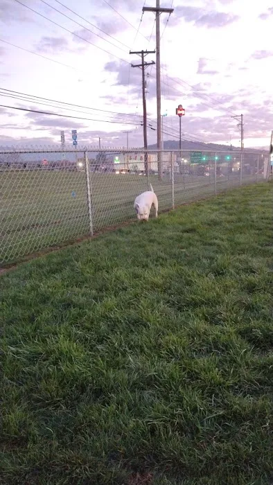Dog Park at Love's Travel Stops 3