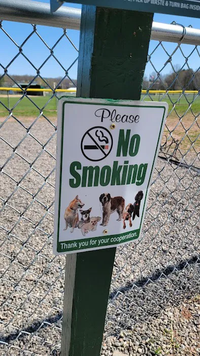 Cairo Dog Park 1