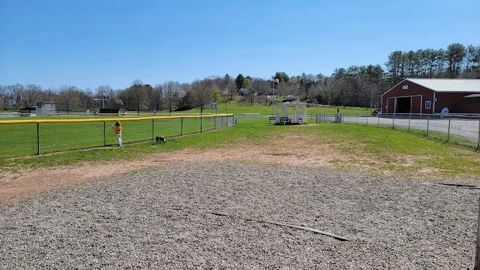 Cairo Dog Park 2