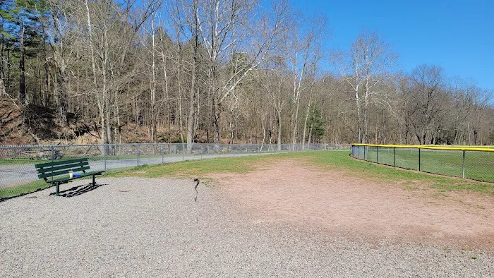Cairo Dog Park 5