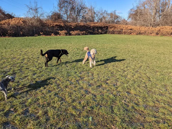 Hudson Dog Park 3