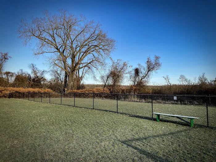 Hudson Dog Park 2