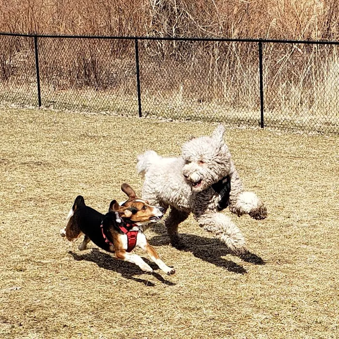Hudson Dog Park 4
