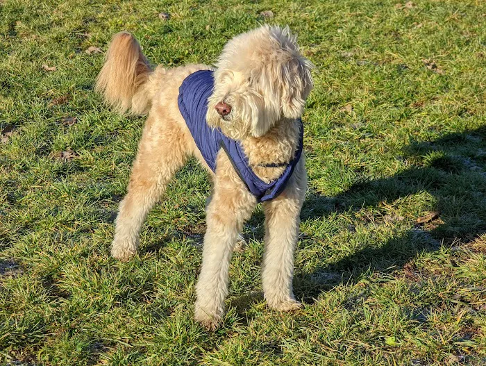 Hudson Dog Park 6