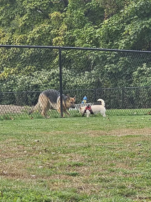 Hudson Dog Park 8