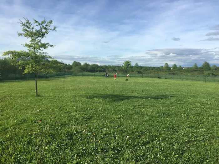 Athens Bunker Hill Dog Park 2