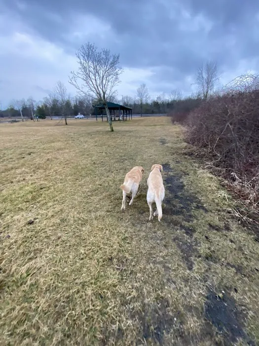 Athens Bunker Hill Dog Park 6