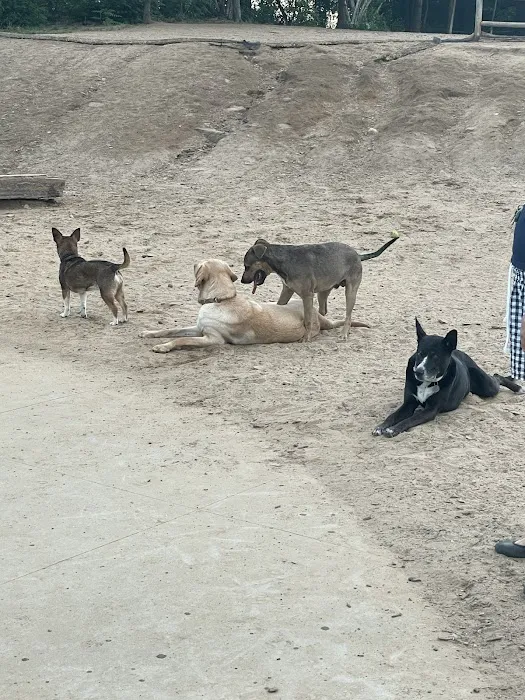 Friends of South Hadley Dog Park 2