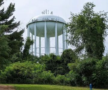 Friends of South Hadley Dog Park