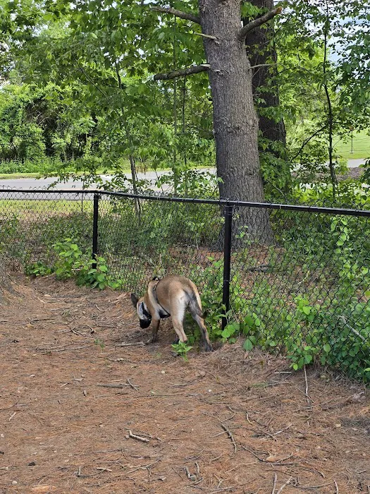 Friends of South Hadley Dog Park 9