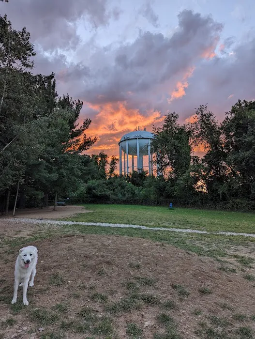 Friends of South Hadley Dog Park 10