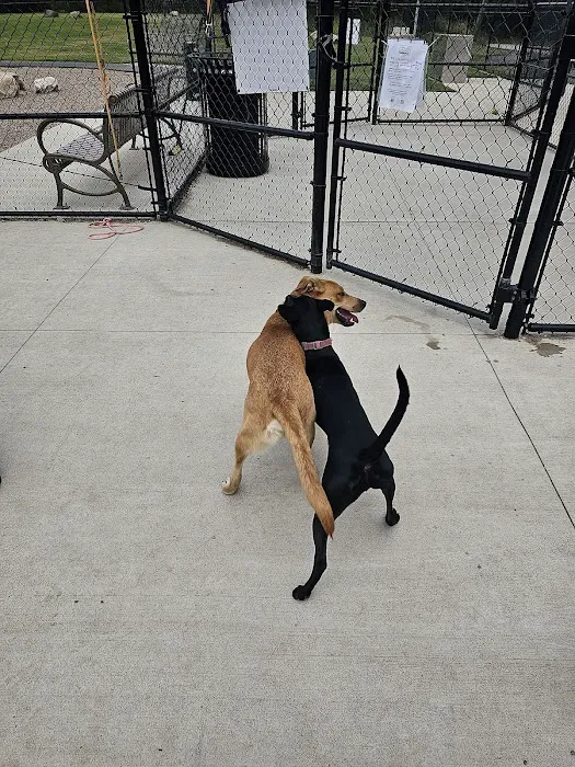 Amherst Dog Park 3