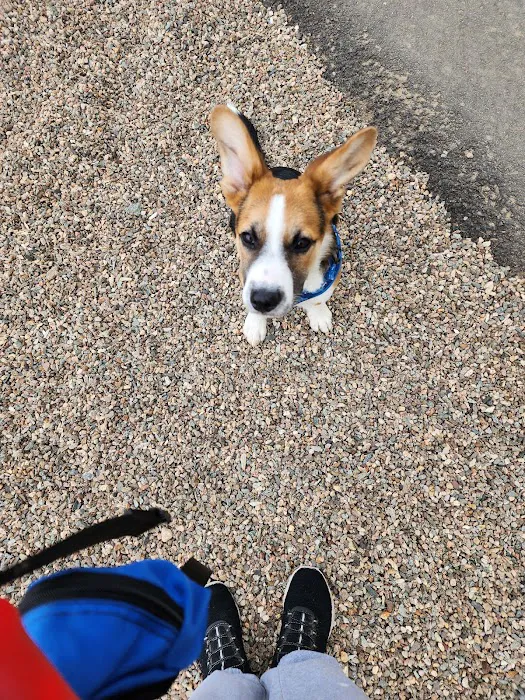 Amherst Dog Park 6