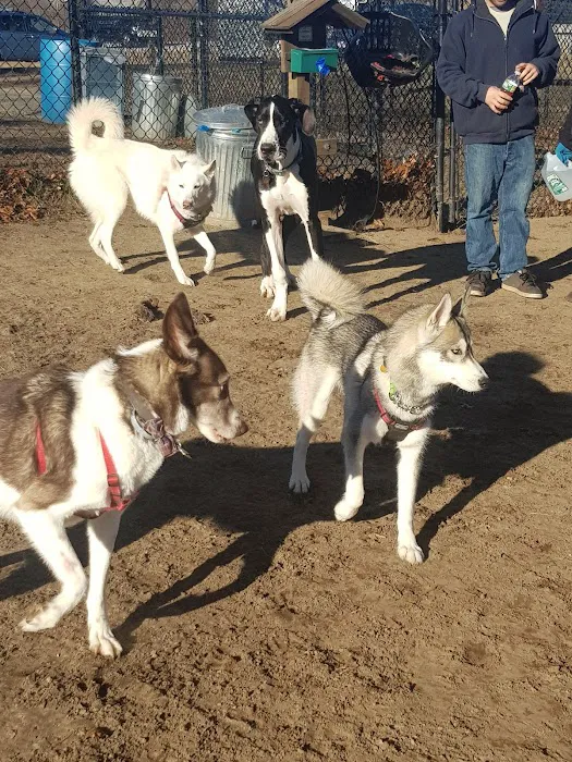 Putnam Lions Memorial Dog Park 3