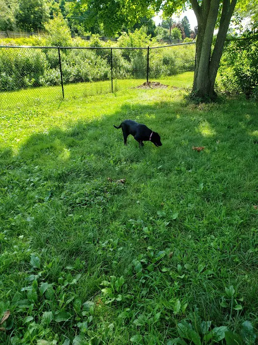 Putnam Lions Memorial Dog Park 5