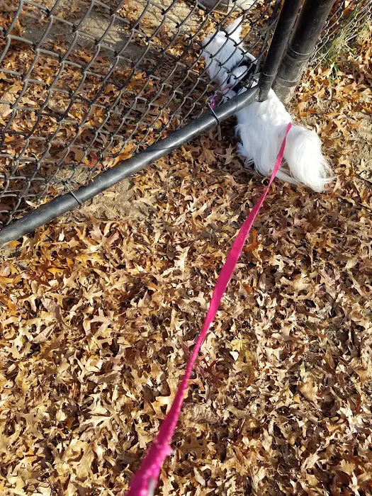 Putnam Lions Memorial Dog Park 4