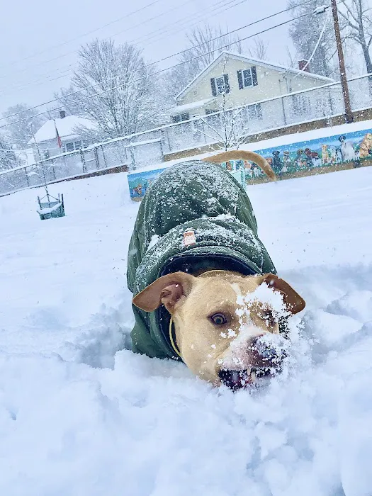 Ware Dog Park 1
