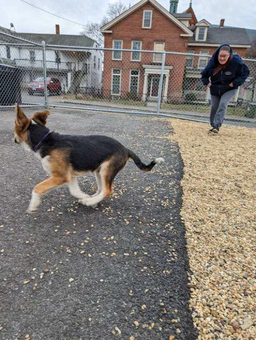 Ware Dog Park 6