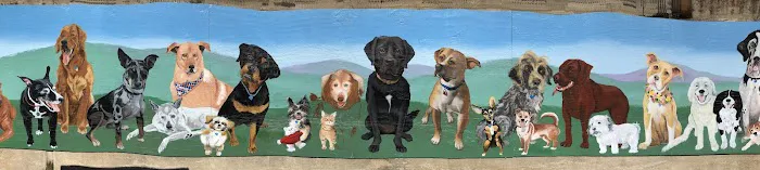 Ware Dog Park 7