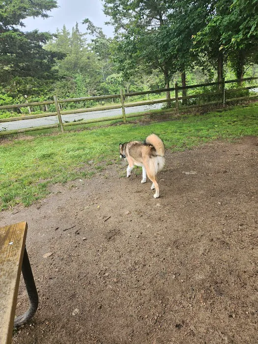 Charlestown dog park 1