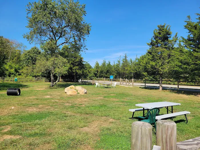 Charlestown dog park 2