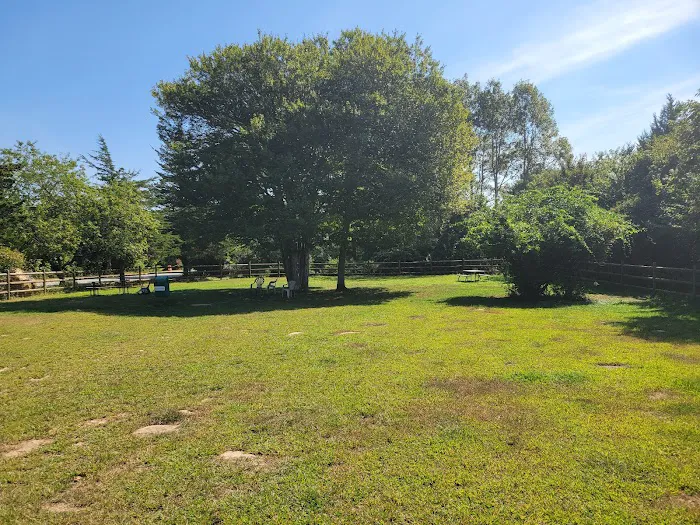 Charlestown dog park 8