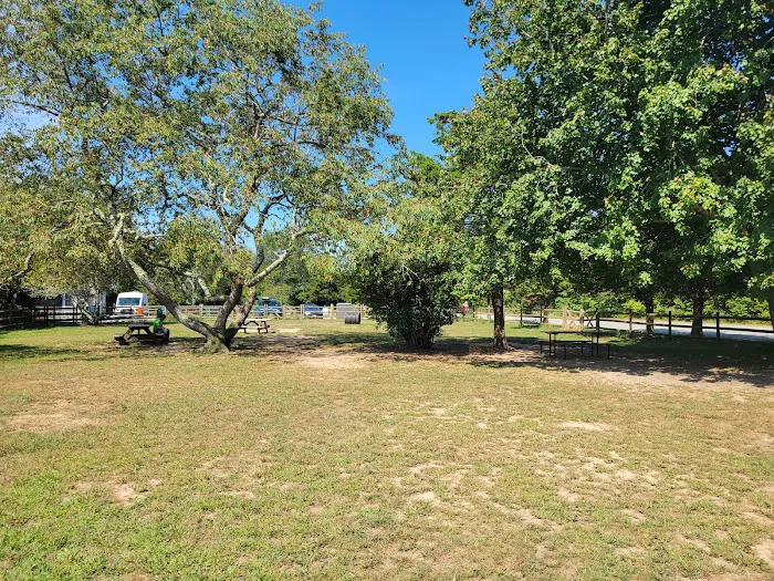 Charlestown dog park 9