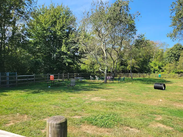 Charlestown dog park 10