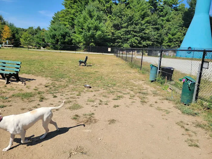 Richmond Dog Park 2