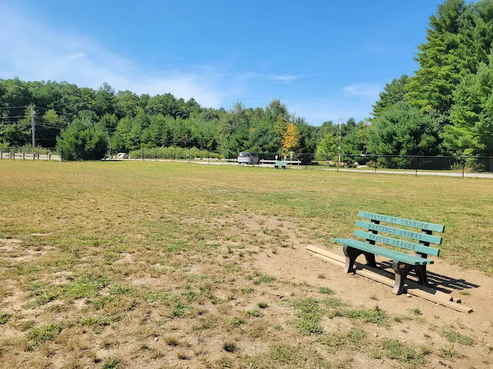 Richmond Dog Park 6