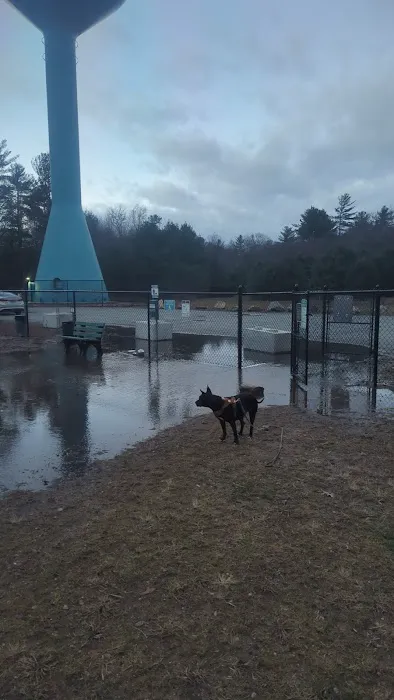 Richmond Dog Park 4