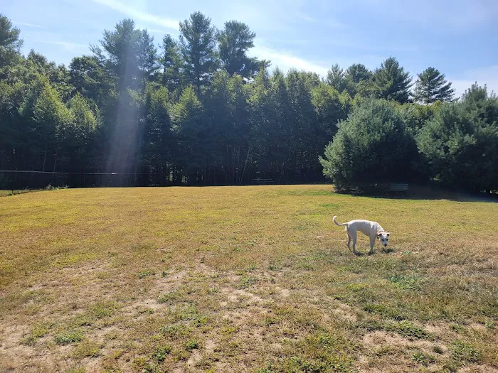 Richmond Dog Park 9