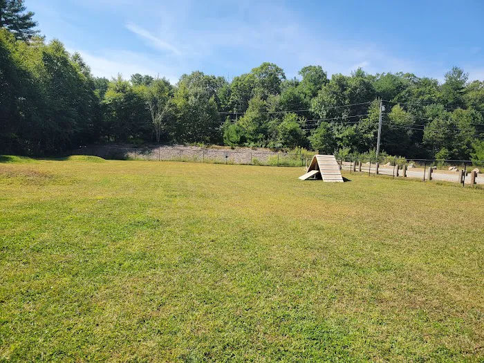 Richmond Dog Park 7