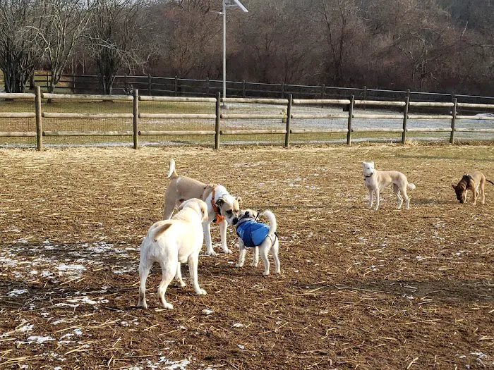 South Kingstown Dog Park 2