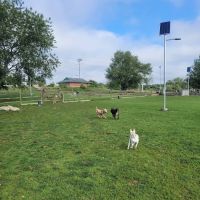 South Kingstown Dog Park ico