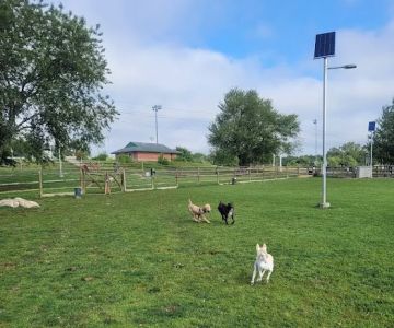 South Kingstown Dog Park