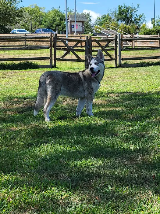 South Kingstown Dog Park 3