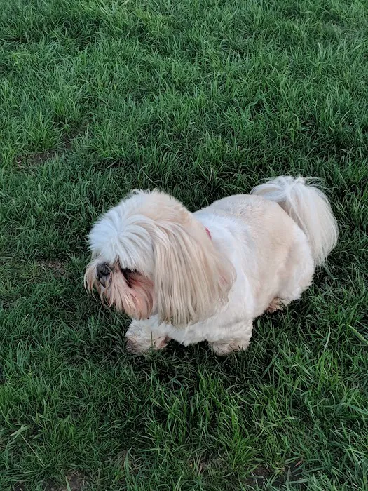 South Kingstown Dog Park 7