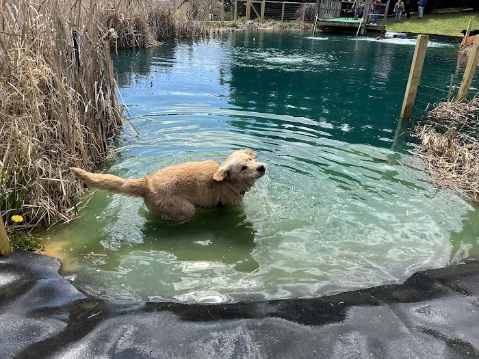 Barkby Plungers 3